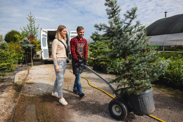 Trusted New Hyde Park, NY Tree Care Services Experts